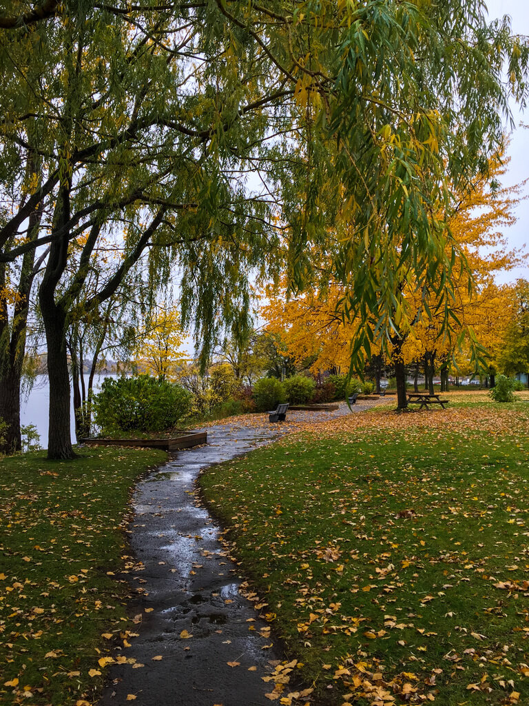 Une vue d'un parc près d'une rivière à l'automne